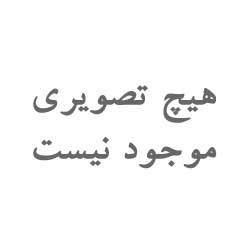 ماینر کم مصرف ای اس پی توکن  X1 مدل Core i1